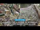 Charriés par la rivière, de nombreux déchets s'entassent dans la vase à Crancey