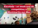 VIDÉO. Les bénévoles au rendez-vous pour le championnat de France d'escalade à Montmartin-sur-Mer