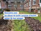 Le défi du lycée Lavoisier d'Auchel : remporter la Coupe du potager des Hauts-de-France