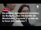 VIDÉO. Du secteur bancaire au ministère du Budget... Qui est Amélie de Montchalin, nommée à la tête de la Cour des comptes ?