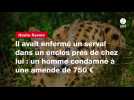 VIDÉO. Il avait enfermé un serval dans un enclos près de chez lui : un homme condamné à une amende de 750 ¬