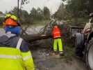 Tempête Nils : à Carcassonne, les services techniques sur le pont pour dégager les arbres déracinés
