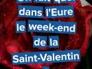 On fait quoi dans l'Eure le week-end de la Saint-Valentin ?