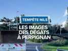 Tempête Nils, les dégâts à Perpignan