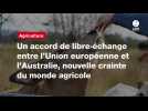 VIDÉO. Un accord de libre-échange entre l'Union européenne et l'Australie, nouvelle crainte du monde agricole