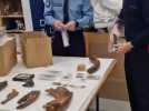 46 fossiles préhistoriques saisis par le douanes et remis au musée de Picardie à Amiens