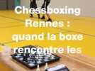« Soit tu mets ton adversaire KO, soit tu fais échec et mat », dans ce club breton, boxe et échecs font bon ménage