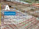 Industrie, BTP, artisanat, commerce : alerte sur l'activité économique des Ardennes en 2026