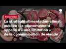 VIDEO. La stratégie alimentation-climat publiée : le gouvernement appelle à « une limitation » de la consommation de viande