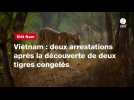 VIDEO. Vietnam : deux arrestations après la découverte de deux tigres congelés