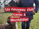 Un nouveau club canin à Montdidier