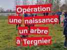 A Tergnier, pour une naissance enregistré, un arbre est planté