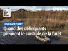 Quand des délinquants prennent le contrôle de la forêt d'Escaupont