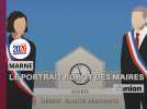 Municipales 2026. Le portrait robot des maires sortants dans la Marne