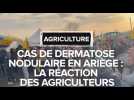 Dermatose nodulaire : la réaction des agriculteurs au coeur de la mobilisation en Ariège