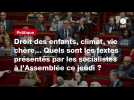 VIDÉO. Droit des enfants, climat, vie chère... Quels sont les textes présentés par les socialistes à l'Assemblée ce jeudi ?