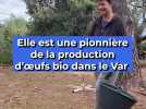 Elle est une pionnière de la production d'oeufs bio dans le Var