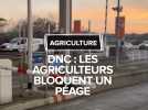DNC : des agriculteurs bloquent les péages autour de Toulouse en soutien à l'éleveur ariégeois