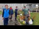 VIDÉO. Ces élèves plantent 1 500 arbres pour créer une mini-forêt dans leur lycée à Laval