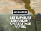 DNC : les éleveurs demandent un abattage partiel