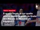VIDÉO. France - Danemark. À quelle heure et sur quelle chaîne suivre le quart de finale des Bleues au Mondial de handball ?