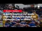 VIDÉO. Benetton - Perpignan. À quelle heure et sur quelle chaîne TV suivre le match de Challenge Cup en direct ?