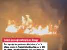 Barrages en feu, ambiance électrique... La situation se tend en Ariège sur l'exploitation touchée par la DNC