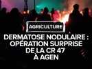 Dermatose nodulaire : opération surprise de la CR47 à Agen