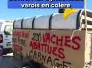 Abattage d'élevages bovins : les agriculteurs varois en colère