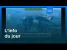 L'info du jour | 12 décembre 2025 - Mi-journée