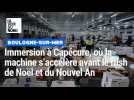 voyage au pays des mastodontes du transport de poisson à Boulogne