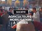 DNC : mobilisation dans le centre de Tarbes