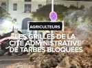 Les grilles de la cité administrative de Tarbes bloquées