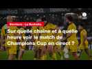 VIDÉO. Stormers - La Rochelle : sur quelle chaîne et à quelle heure voir le match de Champions Cup en direct ?
