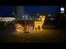 VIDÉO. Deux tonnes de décorations ont été installées pour faire scintiller Alençon pour Noël