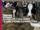 Ferme laitière connectée à Saint-Hilaire-au-Temple, dans la Marne