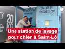 VIDÉO. "C'est très pratique" : une station de lavage pour chiens a ouvert à Saint-Lô
