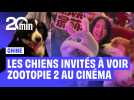 Cinéma : en Chine, les spectateurs peuvent voir Zootopie 2... avec leur chien