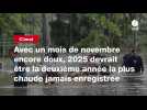 VIDEO. Avec un mois de novembre encore doux, 2025 devrait être la deuxième année la plus chaude jamais enregistrée