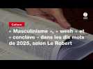 VIDEO. « Masculinisme », « wesh » et « conclave » dans les dix mots de 2025, selon Le Robert