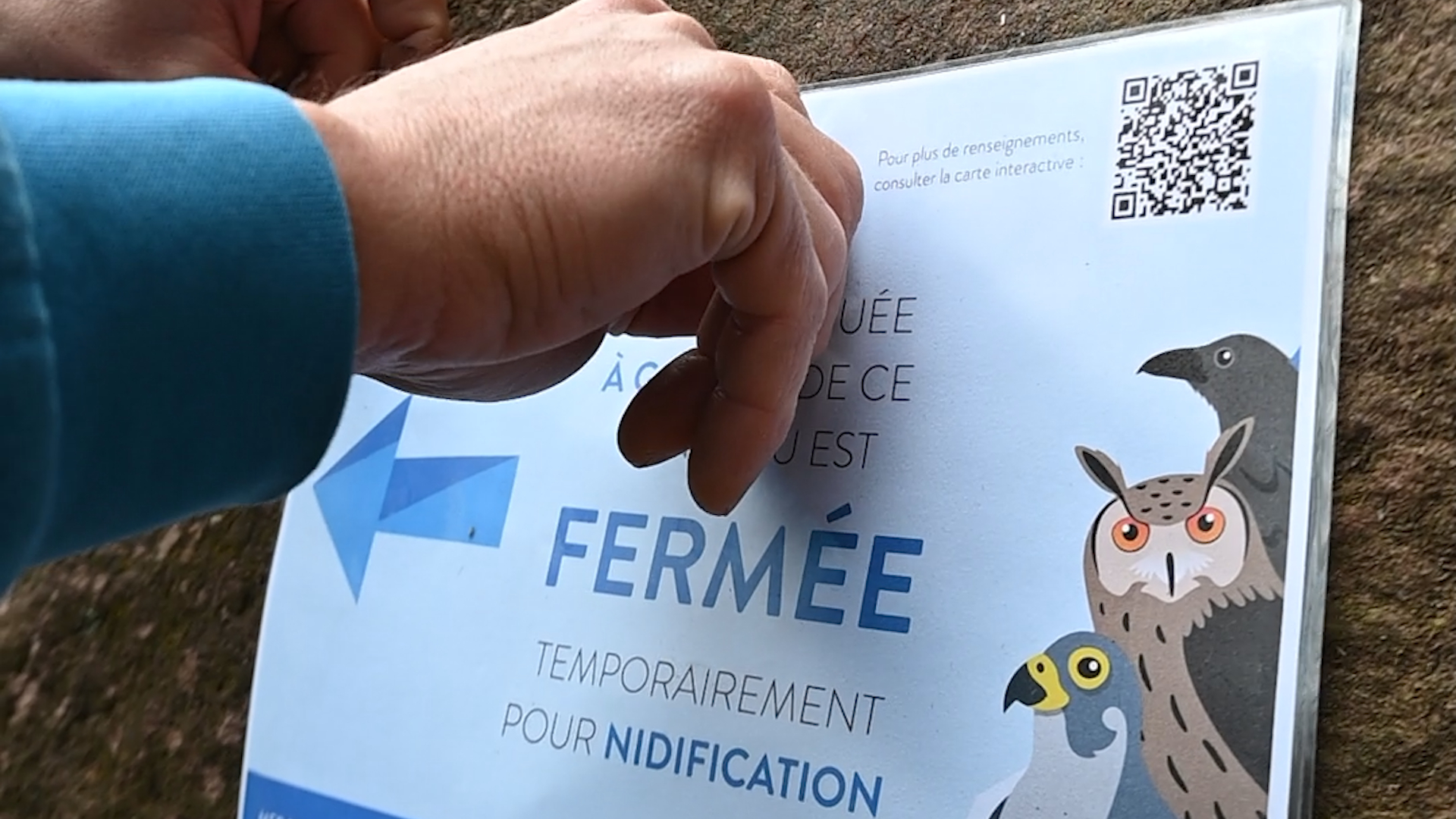 Vidéo. $content.TitleNoTags