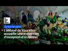 L'abbaye de Vaucelles accueille une exposition d'exception d'orchidées