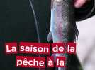 Ouverture de la pêche à la truite en Picardie