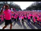 VIDÉO. Cancer du sein : 20 000 personnes et des milliers d'euros récoltés à la course caritative de Nantes