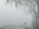 Le brouillard est très épais ce dimanche matin, la visibilité très réduite !