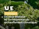 Le rechauffement climatique en Champagne, on vous explique