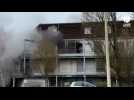 VIDÉO. Un feu d'appartement rue Simone-Veil, à Plescop : une personne blessée