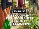 Ils s'occupent des 1 500 plantes de la Halle de la machine