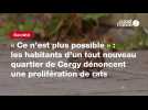 « Ce n'est plus possible » : les habitants d'un nouveau quartier de Cergy dénoncent une prolifération de rats
