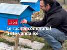 A Laon, des personnes malveillantes ont attaqué le rucher communal